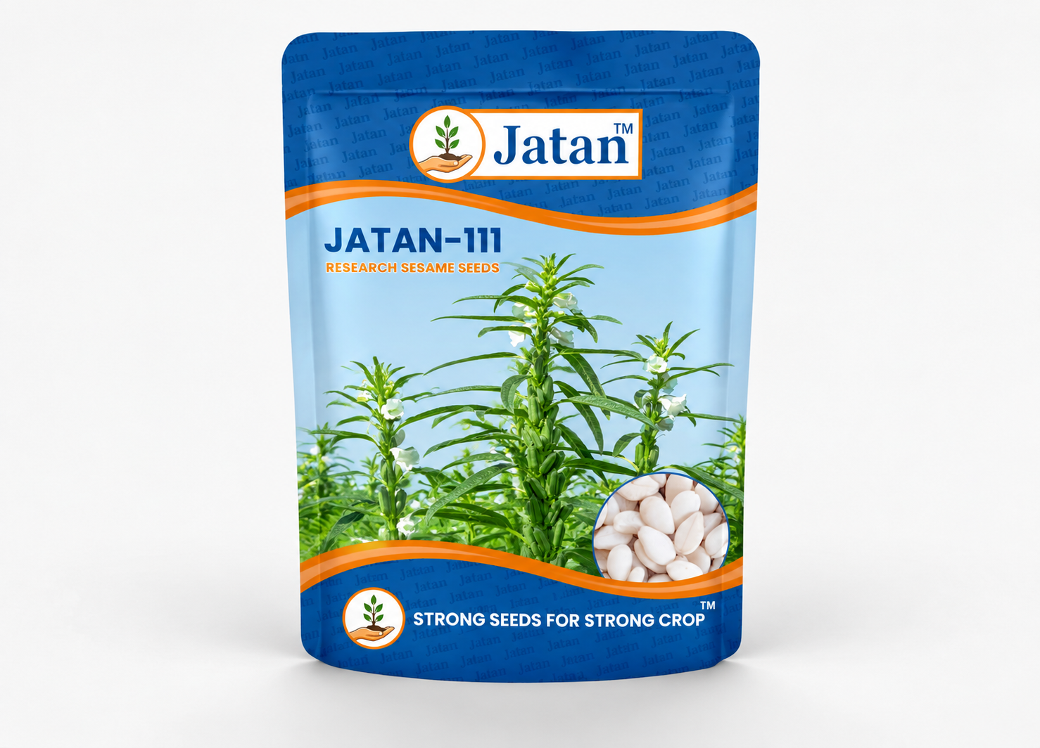 2849051313JATAN - 111.png